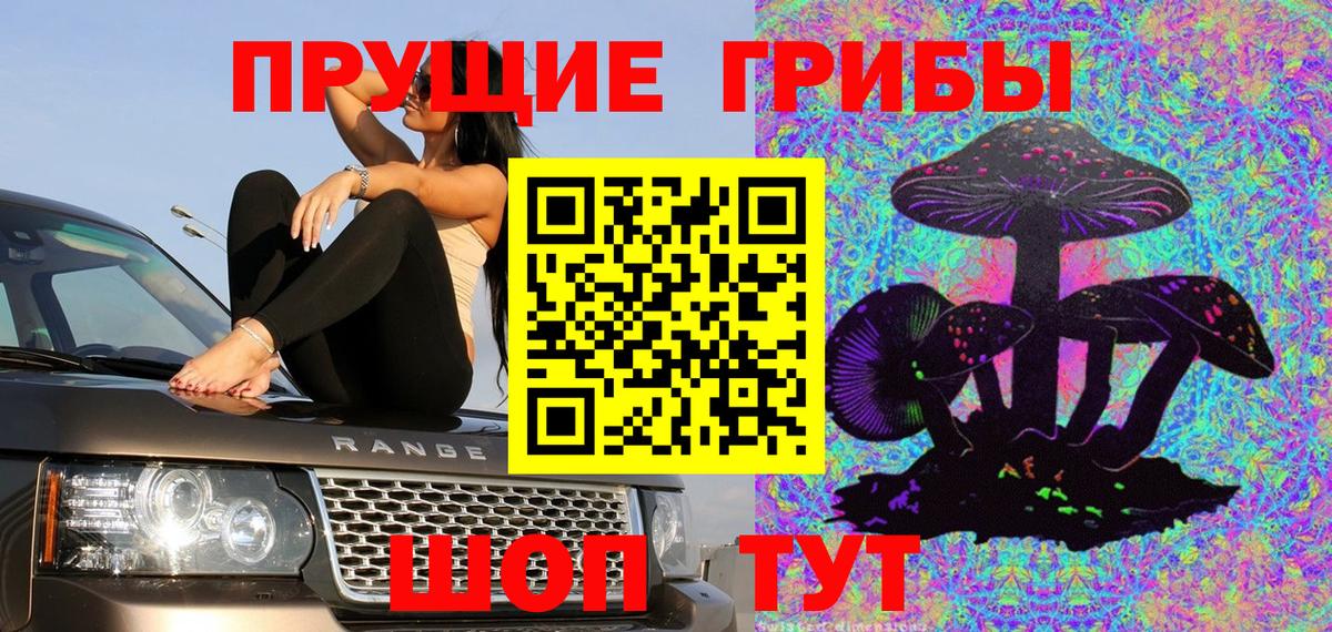 Псилоцибиновые грибы Psilocybine cubensis  Галлюциногенные грибы прущие грибы  купить закладку  Вход с VPN  Полысаево 